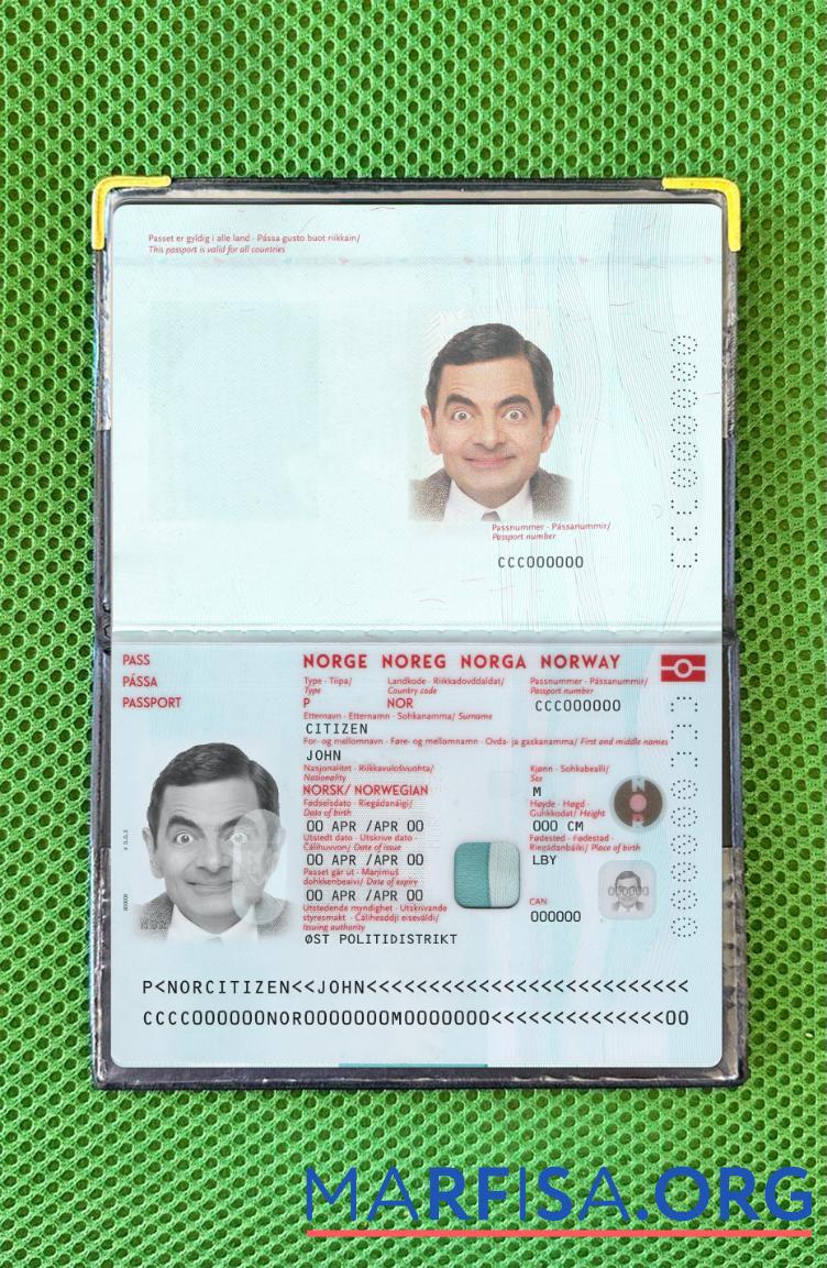 Realistic Norway passport new 2021 present photolook download for verification